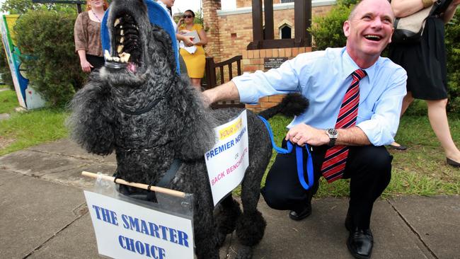 LNP leader Campbell Newman with Brajee the standard poodle, a supporter's dog, on the last day of the 2012 Queensland state election campaign, in the Brisbane electorate of Ashgrove.