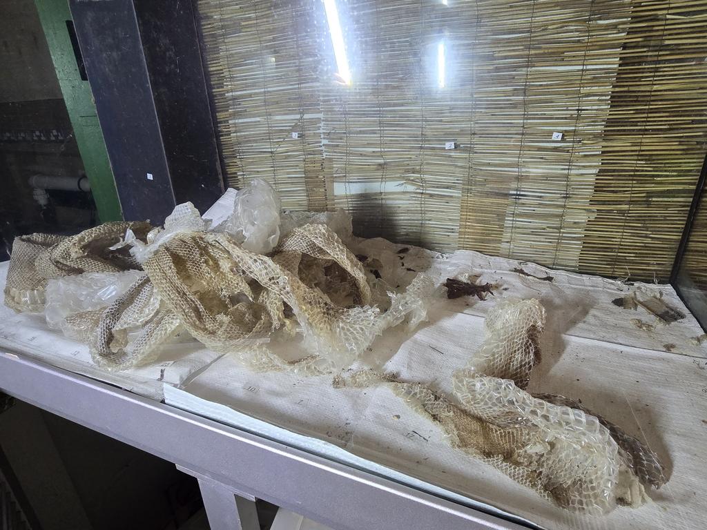 He discovered snake skins inside the former Rutland Sanctuary Zoo. Picture: Jam Press