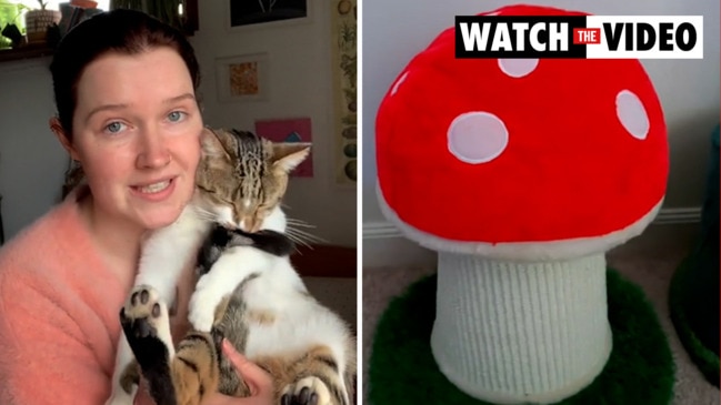 Kmart customers in love with mushroom cat scratcher news