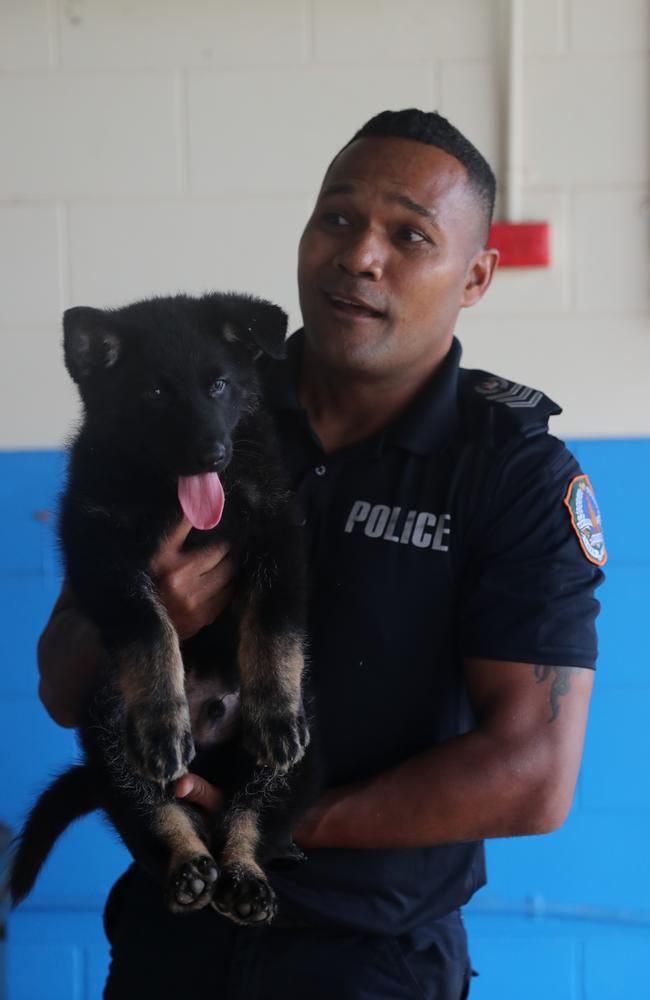 NT Police Dog Operations Unit officer Riva Zio with the squad's newest recruits, Axe and Jax.