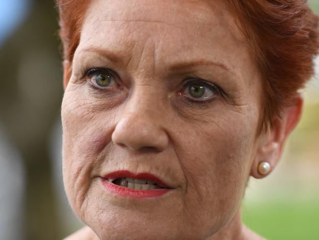 NEWS2019ELECTION 15/4/2019. DAY 5 One Nation's Pauline Hanson Campaigning in regional South Australia - Loxton, Berri and Remark today. Pauline Hanson on the campaign trail in Berri with her COS James Ashby and local member Jennifer Game. Tricia Watkinson