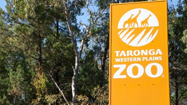 Dubbo’s Western Plains Zoo. Picture: Supplied