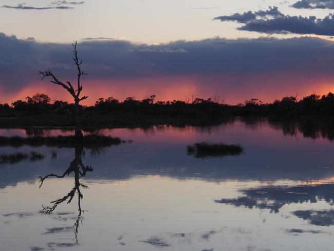 Stunning low-light reflection captured at the Birdsville Lagoon. Picture: Andrew Kube