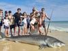 Why Aussie island is no swim paradise