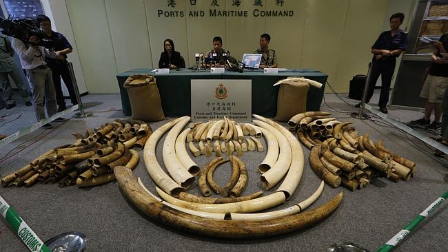 Hong Kong’s secret hidden ivory cache | Daily Telegraph