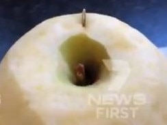 The needle found in the apple. Picture: Supplied/Seven News, Twitter