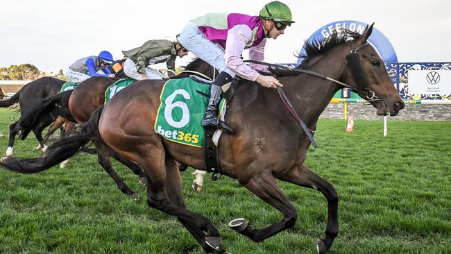 The radical overhaul of Victoria’s punting industry could see multiple licences dished out. Picture: Getty Images