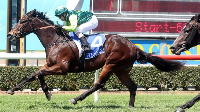 QTIS-eligible horse Dazzling Red wins at the Gold Coast last Saturday. Photo: Richard Gosling