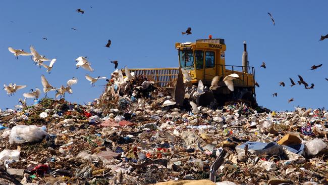 Food scraps are ending up in landfill and costing Adelaide ratepayers more than $10 million a year.