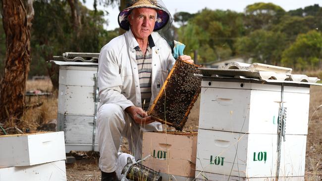 Australian Honey Bee Industry Biosecurity beekeeper rules become South ...