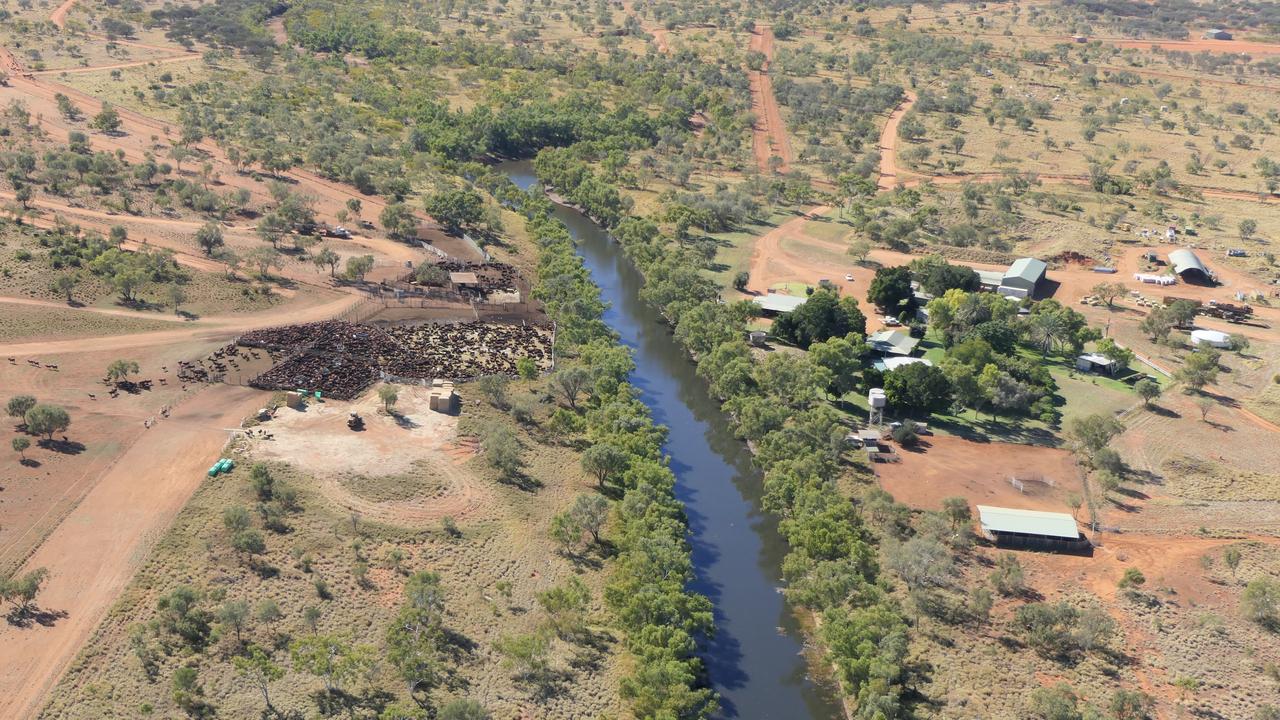 Filipino property tycoon to sell NT cattle station