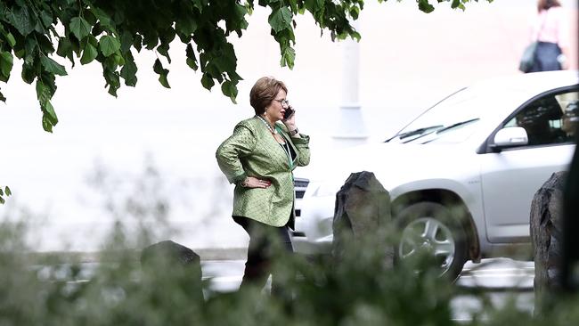 Speaker Sue Hickey talking on the phone after voting against the Liberal Government for the first time yesterday. Picture: LUKE BOWDEN