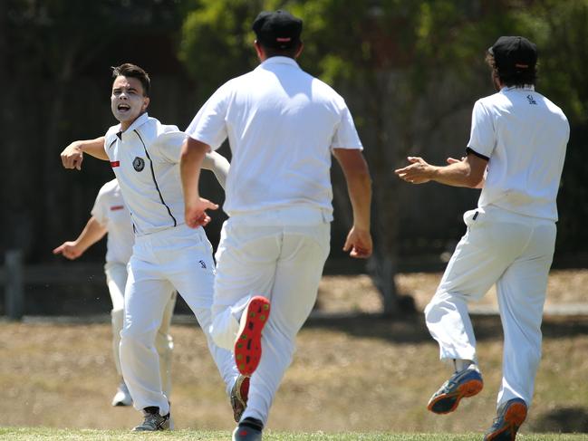 Thomas Taylor celebrates a wicket during Montmorency’s breakthrough win over North Eltham Wanderers. Picture: Hamish Blair