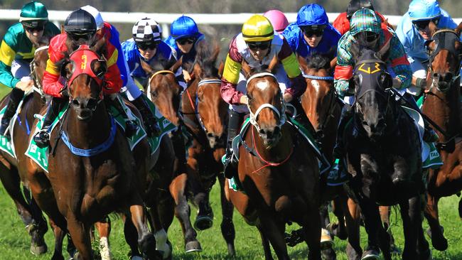 Racing in New South Wales on Tuesday is at Sapphire Coast and Murwillumbah.