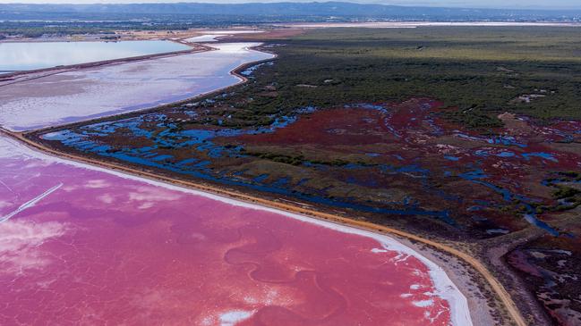 An aerial view of dead and dying mangroves at St Kilda. Picture: Alex Mausolf