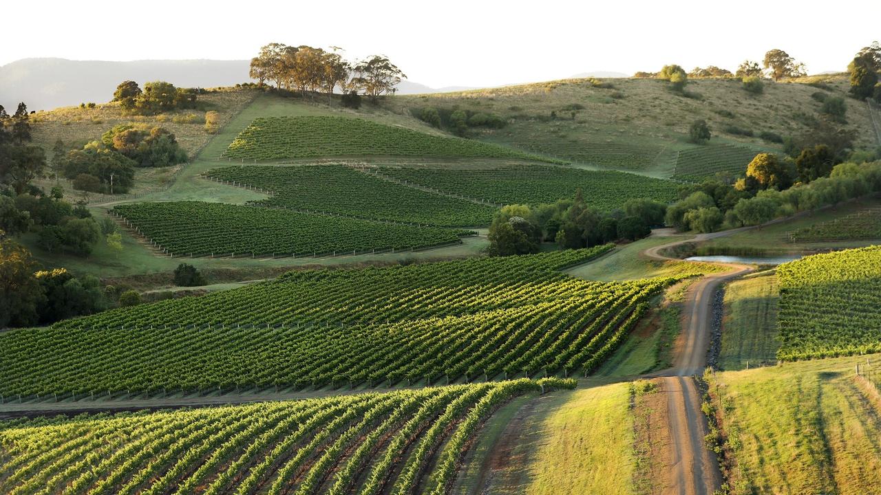 The Best Hunter Valley Cellar Doors To Visit in 2023 The Australian