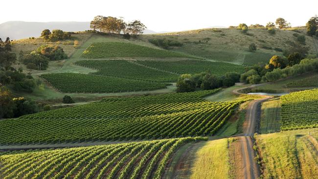 Briar Ridge, Hunter Valley, NSW.