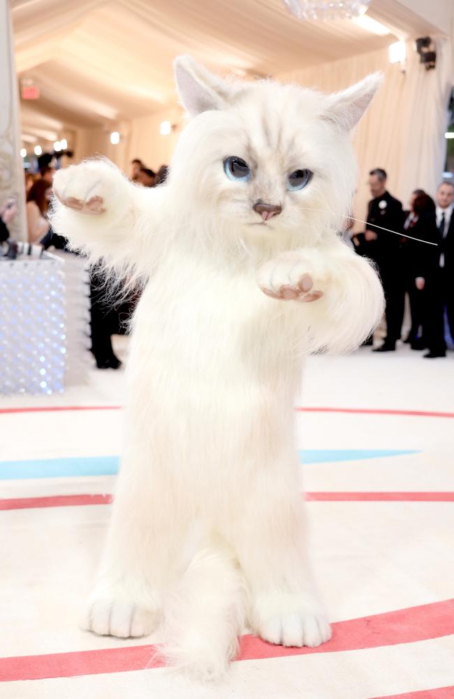 Jared Leto, dressed as Karl Lagerfeld's cat Choupette, attends the 2023 Met Gala celebrating the iconic late designer. Picture: John Shearer/WireImage