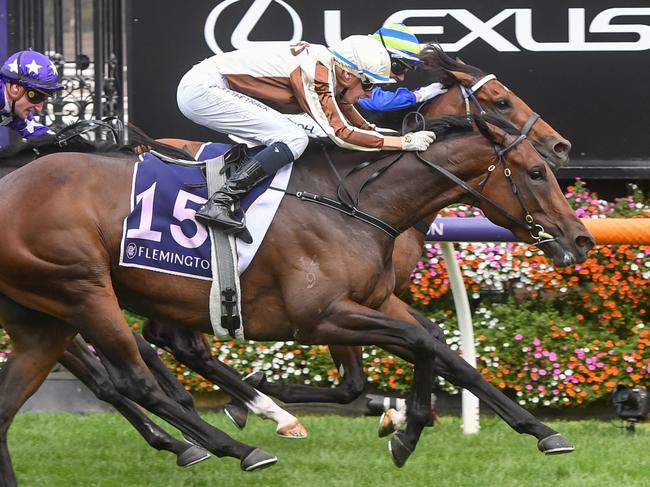 Legarto (NZ) ridden by Michael Dee wins the Australian Guineas at Flemington Racecourse on March 04, 2023 in Flemington, Australia. (Photo by George Sal/Racing Photos via Getty Images)