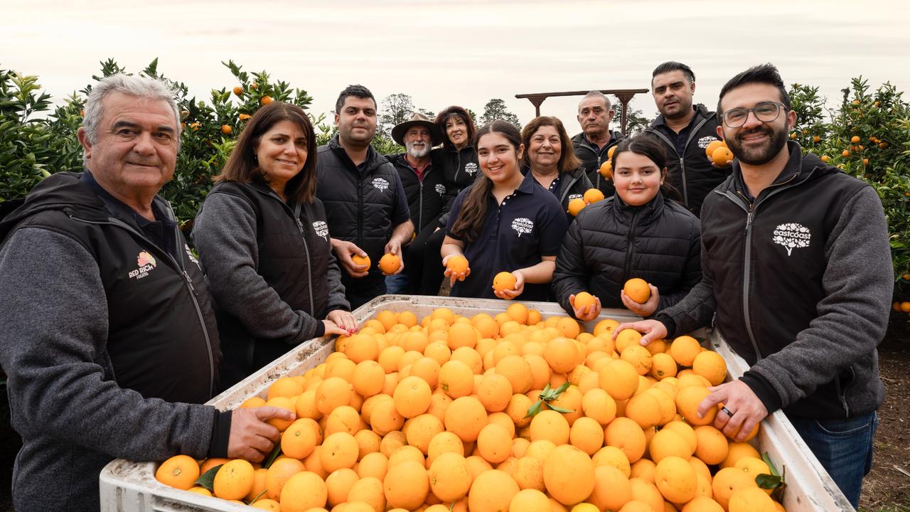 Six decades of juicing for Lentini family