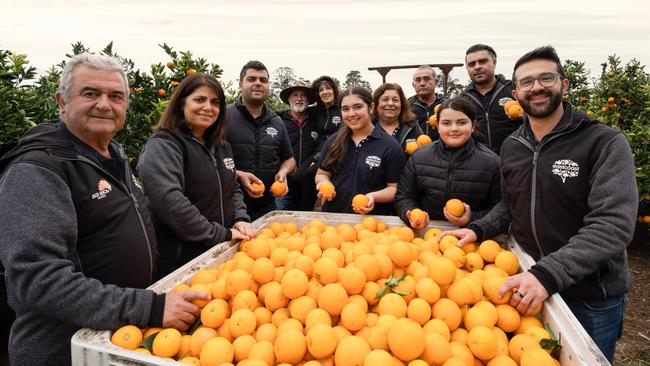 The Lentini family is now in its third generation of producers growing citrus for their brand, Eastcoast Beverages. PICTURE: Supplied.