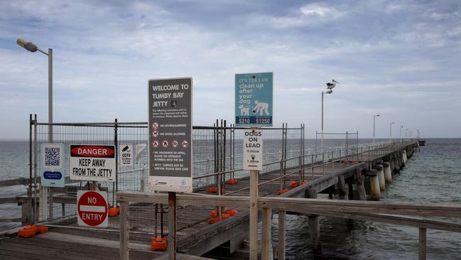 Only pelicans can access the Tumby Bay jetty. Picture: Picture Dean Martin