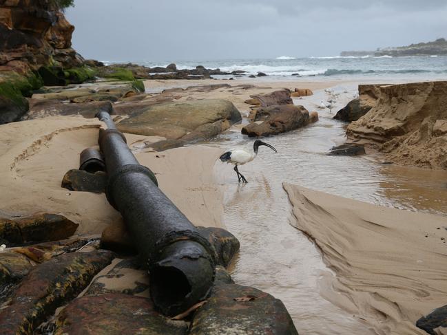 Stormwater and wastewater management are vital for clean beach. Picture: Craig Wilson