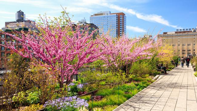 High Line in New York City.