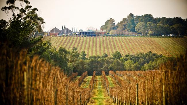 Australia’s latest wine harvest has slumped to its lowest levels in more than 20 years as the La Nina weather event produced wet and cool conditions.