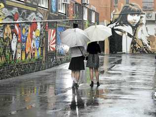 Street art on the walls of the Back Alley Gallery in Lismore’s Eggins Ln. Picture: Jay Cronan 