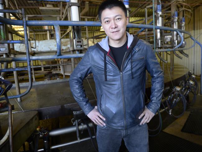 Chinese listed company DFP Australia has bought two farms, one at Poowong and one at Athlone. General manager Roy Wang at the Poowong Farm.