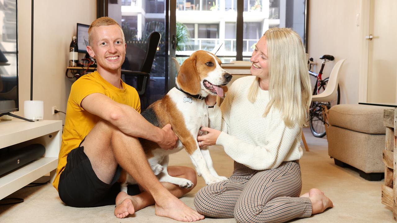 Renewables supporters Alex Harrison and Alexandra O’Neill with their beagle Chico. Picture: Richard Dobson