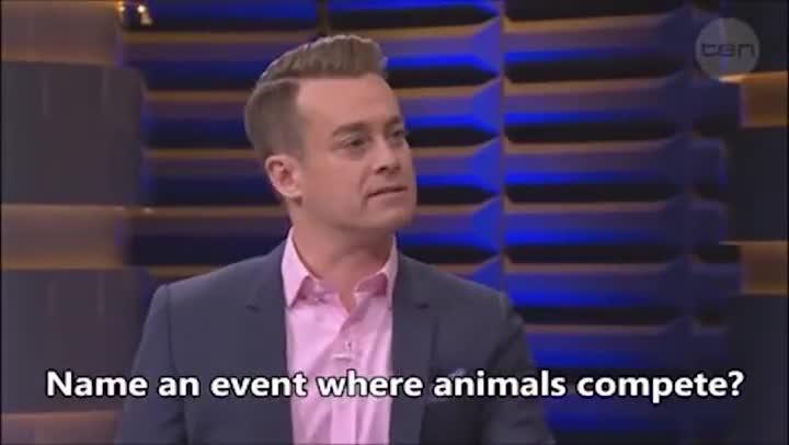 "Name a sport where animals compete"