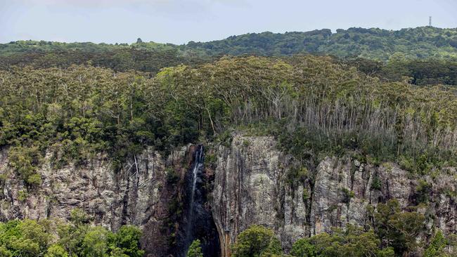 Springbrook National Park. Picture: Jerad Williams