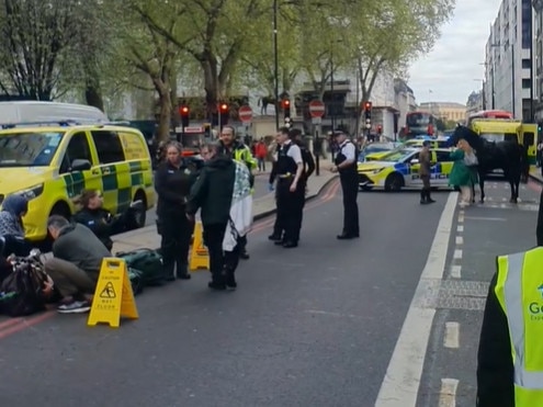 At least one soldier was hurt after a spooked horse smashed into vehicles outside the Clermont Hotel on Buckingham Palace Road.