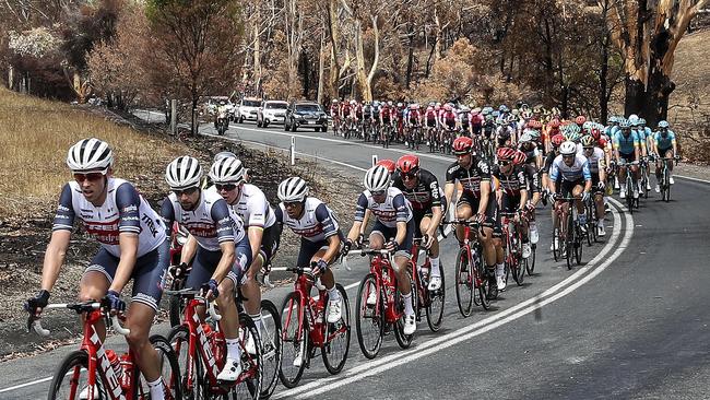 CYCLING - Tour Down Under - Subaru Stage 3 - 23/01/20 - Unley to Paracombe.The peloton makes its way out of Lobethal - with eventual stage winner and Ochre Jersey winner Richie Porte (4th wheel) sitting in behind team mates  Picture SARAH REED