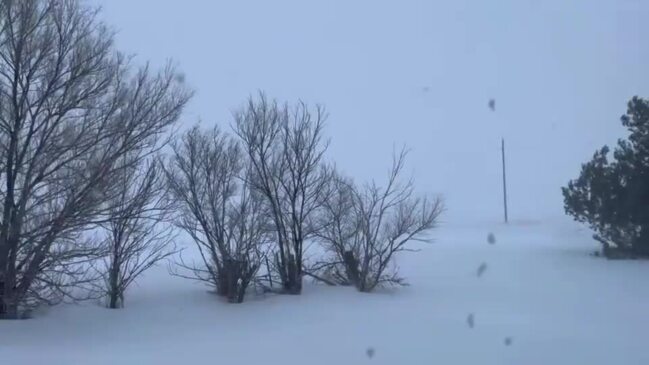 Winter Storm Pummels Northeastern Colorado | Daily Telegraph