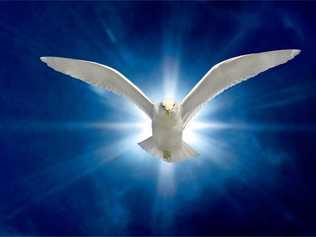 Holy Spirit Dove on Royal Blue Starburst Background