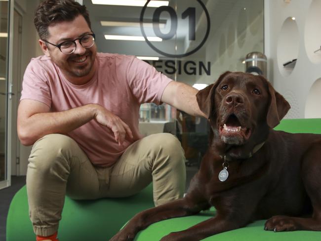 ** This is for SMART Daily page 1**Shane Talbot with his chocolate labrador, Cali, at work, at industrial design consultancy, 4Design, Surry Hills, today.Picture:Justin Lloyd.