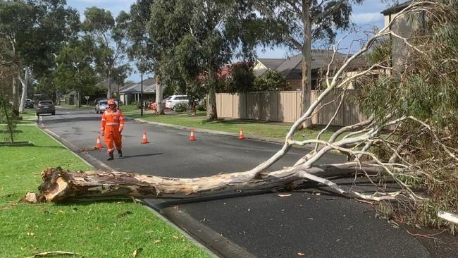 A SES member cleans up storm damage in Wodonga