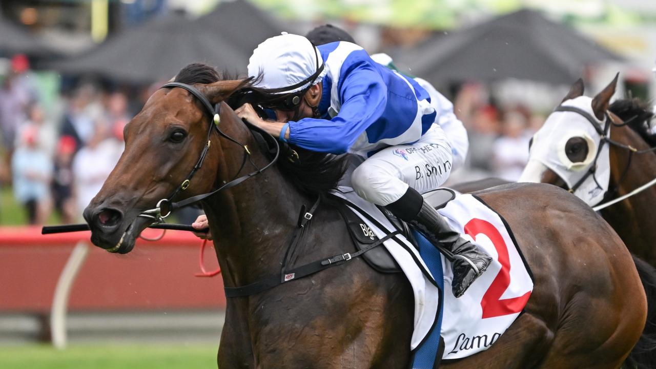 Monday Racebook: Horses to follow, forgive from Blue Diamond Stakes day ...