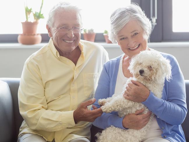 Sunday Mail, Looking Forward, ageing pets