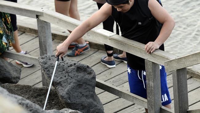 A tourist takes a photo of penguins using a selfie stick. Picture: Martin Reddy