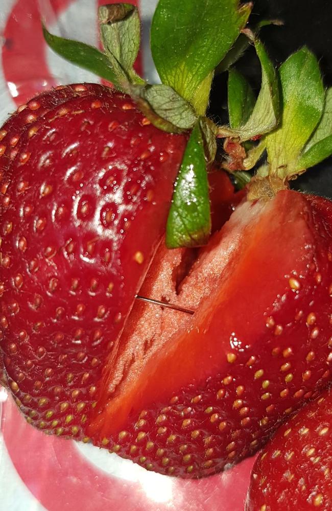 A needle found in strawberry purchased from Foodland in Jamestown, South Australia.