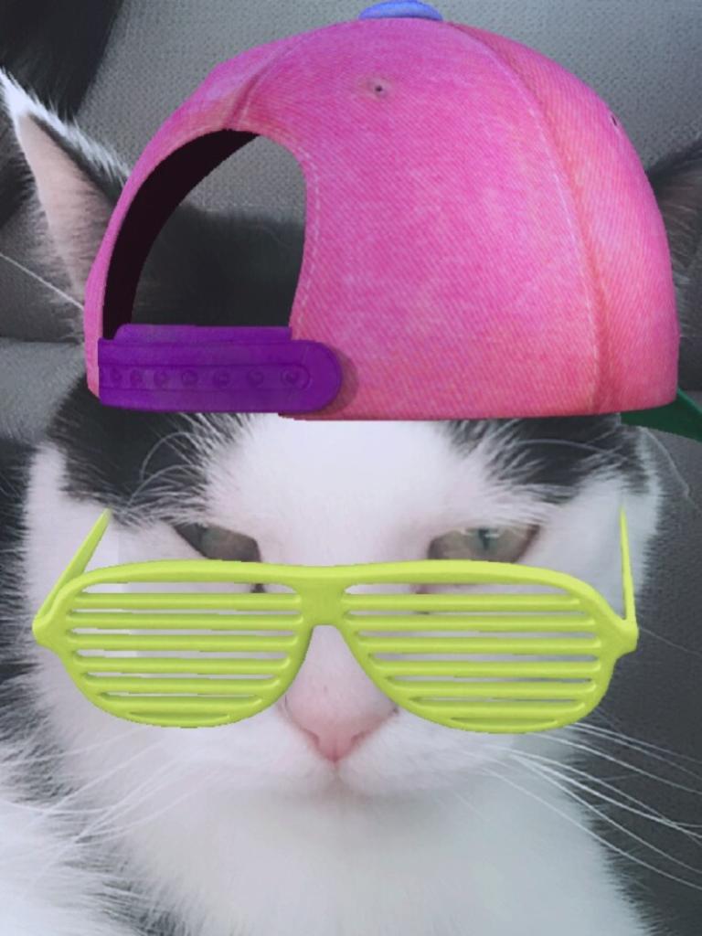 George the cat channeling his inner 90’s teen Picture: Melissa Denning