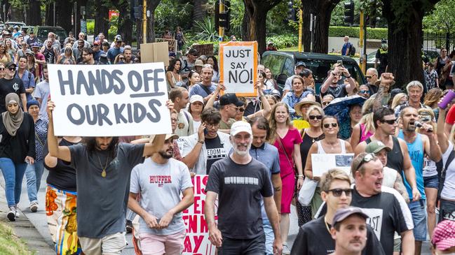 A crowd of anti-vaxxers protesting at Fawkner Park in Melbourne. Picture: Jake Nowakowski