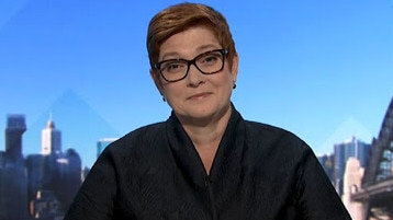 Foreign Minister Marise Payne on ABC Insiders Sunday morning. Picture: ABC.