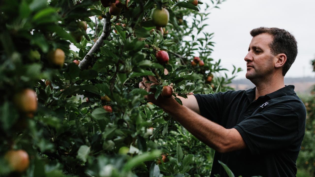 Crushing it: Tassie’s cider boom