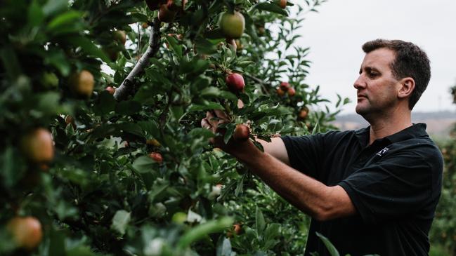 Plenty Cider owner Adam D'Arcy. For TasWeekend. Picture: Supplied