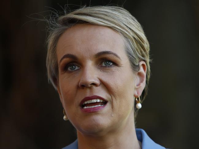 Deputy Leader of the Opposition Tanya Plibersek speaks during a press conference in Sydney, Sunday, April 29, 2018. Labor says it has come up with a new source of GST revenue that would allow the states to agree to cut the 10 per cent tax on female sanitary products.(AAP Image/Daniel Munoz) NO ARCHIVING